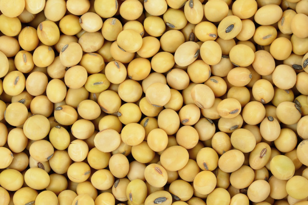 US soybean crush capacity on the rise