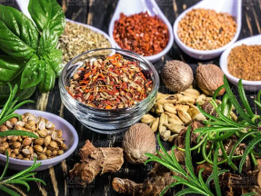 Spices